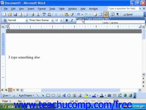 ms word 2003 portable